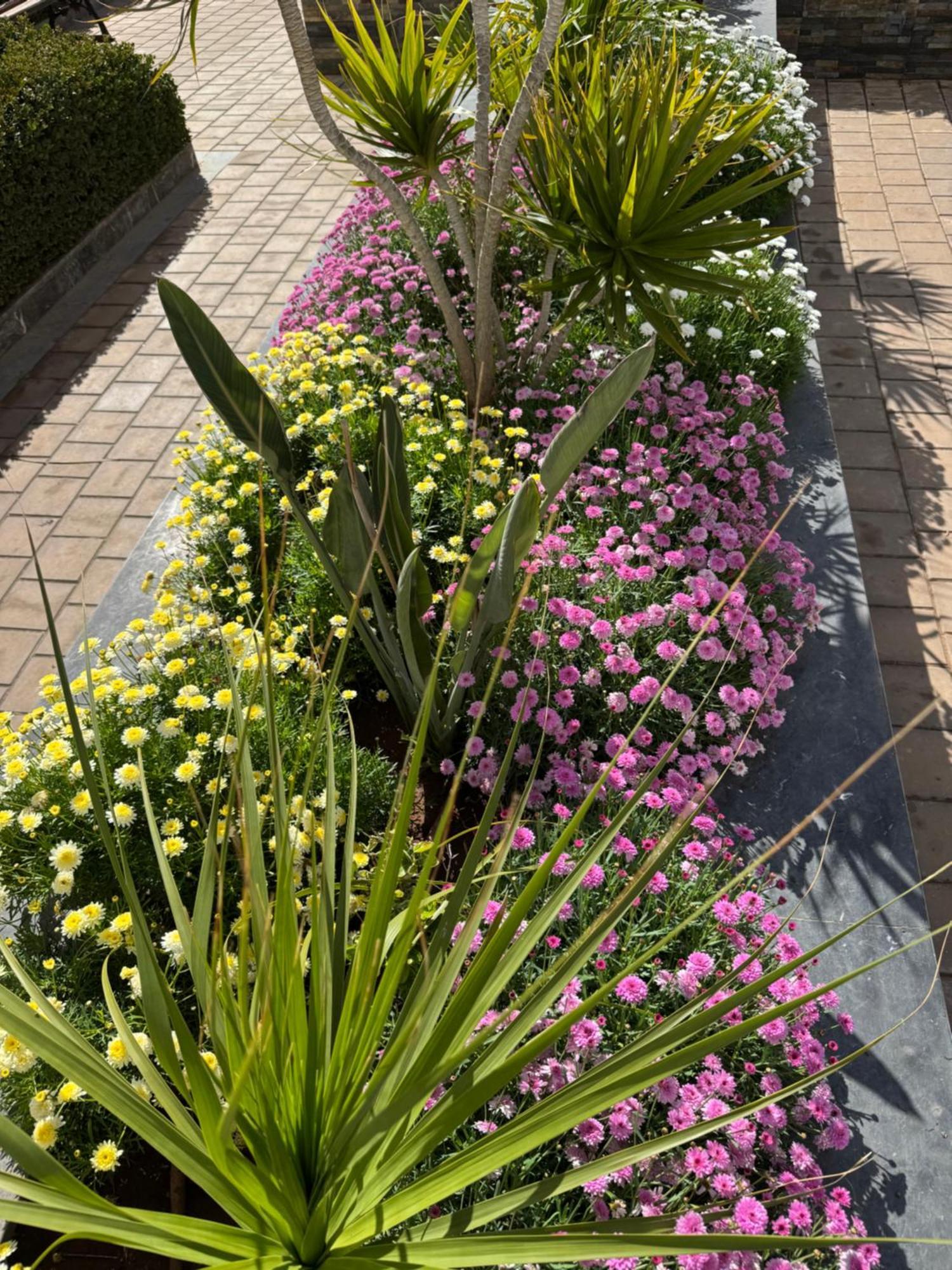 Appartement Luxueux Casa Nearshore Casablanca Bagian luar foto